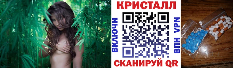 Amphetamine VHQ  Купить где  Свободный 