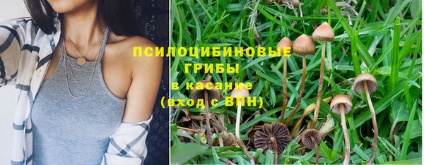 сатива Нея