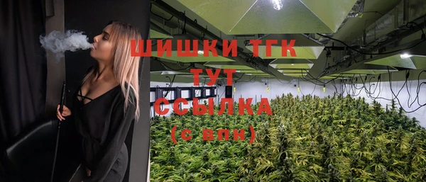 сатива Нея