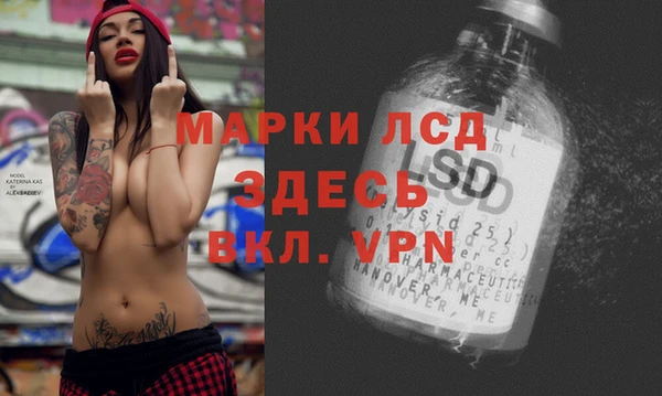 сатива Нея